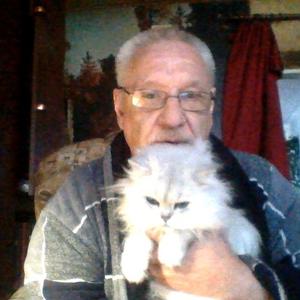 Александр, 65 лет, Мурманск