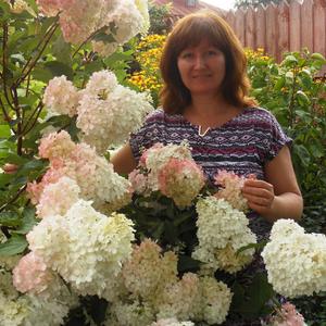 Елена, 53 года, Лакинск