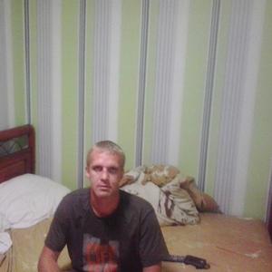 Игорь Алексеев, 46 лет, Ярославль