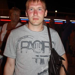 Александр, 31 год, Щекино