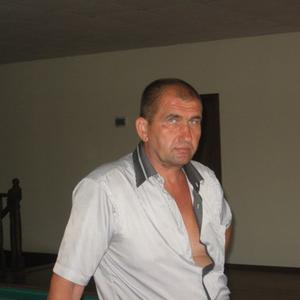 Андрей Шульга, 60 лет, Вологда