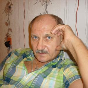 Валерий Кривоконев, 72 года, Зеленогорск